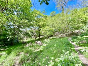 Photo 31- click for photo gallery